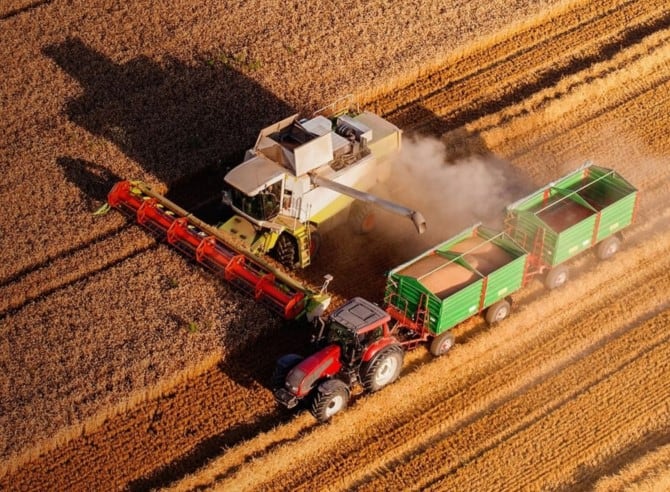 Робочої візи - допомога